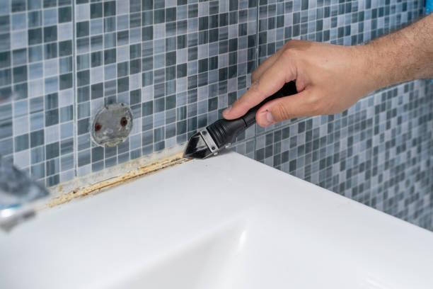 Best Localized Mold Remediation (e.g., coastal areas, humid climates) in Phelan, CA
